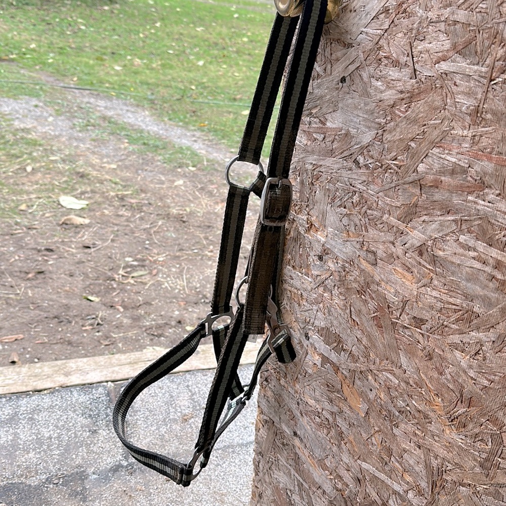 Green breakaway halter(closing down shop this week, deleting this soon.)